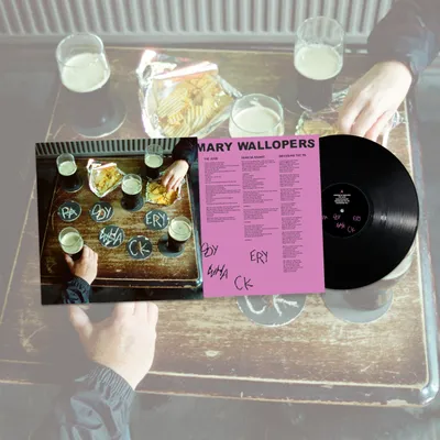 Immagine prodotto di Paddywhackery [Vinile LP]