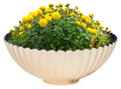 Immagine prodotto di Vaso decorativo rotondo per esterni champagne oro 16 cm