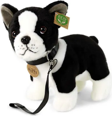 Immagine prodotto di RAPPA Cane di peluche Boston Terrier con guinzaglio in piedi 23 cm ECO-FRIENDLY
