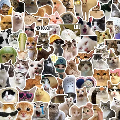 200 Katzenaufkleber, lustige Memes, wasserdicht, Vinyl, 5-8 cm