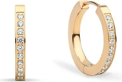 Produktbild von Bering Ohrringe Arctic Symphony Collection