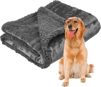 Produktbild von Famanu Kofferset 2-teilig mit Handgepäckkoffer und Reisekoffer - Gelb (53/75 cm)