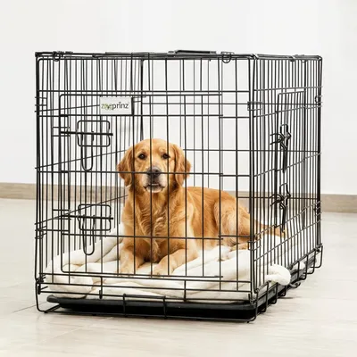 Produktbild von Hunde Transportbox Hundekäfig XL zooprinz | Faltbar & Kunststoffwanne | große Hunde | 107 × 70 × 77,5 cm | Tragegriff Gitter Box