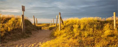 Produktbild von Wallario Poster - Düne am Strand bei Sonnenuntergang in Frankreich, Kunstdruck Größe: 80 x 200 cm
