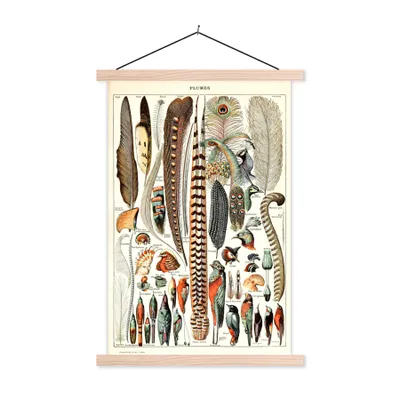 Produktbild von MuchoWow® Textilposter Federn - Vogel - Tiere 40x60 cm mit holzfarbenen Rahmen - Poster