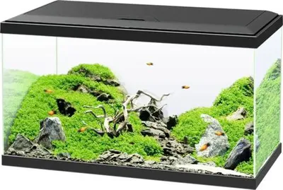 Produktbild von Aquarium Ciano Aqua inkl. Abdeckung, Beleuchtung, Filtersystem inklusive Umwälzpumpe, Heizstab, Futter und Wasseraufbere