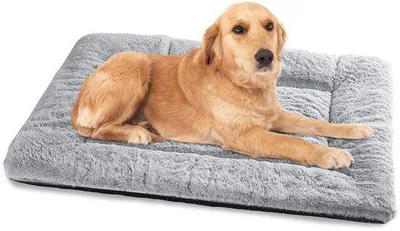Produktbild von Famanu Hundebett für große Hunde - Waschbar - Grau - 90 x 60 cm