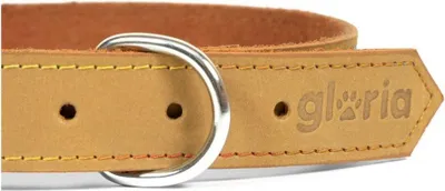 Obrázok produktu pre Obojok pre psov gloria oasis žltý (1,5 x 40 cm)