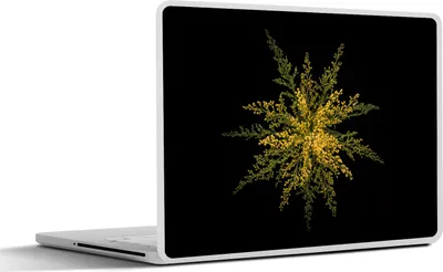 Produktbild von MuchoWow® Laptop Aufkleber Sticker Cover Eine Goldrutenblüte auf schwarzem Hintergrund 36.5x27.5 cm - Laptop-Sticker