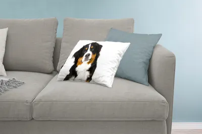 Produktbild von MuchoWow® Zierkissen Sofakissen Wohnzimmer Dekokissen 60x40 cm Porträtfoto eines Berner Sennenhundes - Kopfkissen - Polster mit Foto