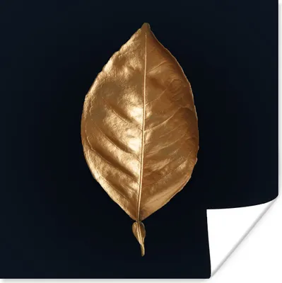 Produktbild von MuchoWow® Poster Blätter - Chic - Gold - Pflanzen - Schwarz 100x100 cm - Babyzimmer