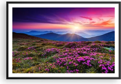 Produktbild von Gerahmtes Poster - Schwarzer Rahmen - Wiese Berg Himmel Landschaft - 91,5x61 cm - Wand Bild - Wanddeko - Wandbilder - Wandposter - Bilderrahmen - Bilder - Kunstdruck - Wandbild - P2BAA91x61-2719