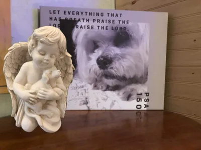 Produktbild von Engel mit Hund Standbild, Gedenkfigur 18 cm, für Innen und Außen