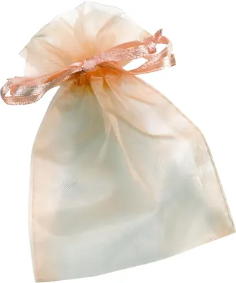 Produktbild von KNORR PRANDELL 216399541 Organzasäckchen 13 x 10 cm lachs