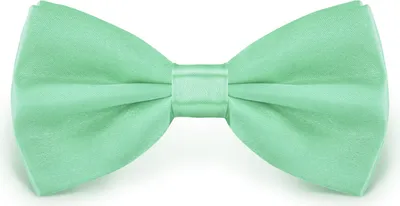 Produktbild von Fliege Mint Größe verstellbar aus Polyester einfarbig uni schmale 12 cm