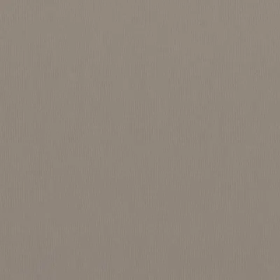 A plain, textured background.