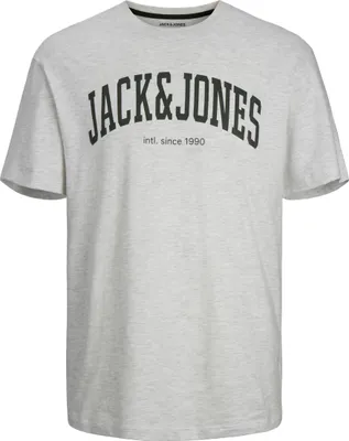 Image de T-shirt pour homme JJEJOSH Relaxed Fit 12236514 Blanc chiné, S