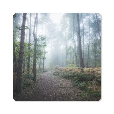 Produktbild von MuchoWow® Mauspad Mousepad Wald - Nebel - Weg 20x20 cm - Mousepads - Maus Mat - Pad - Mausunterlage - Desk Mat - Bureauartikeln