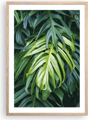 Produktbild von Gerahmtes Poster - Rahmen in heller Eiche - Blume Natur - 50x70 cm - Wand Bild - Wanddeko - Wandbilder - Kunstposter - Wandposter - Bilderrahmen - Bilder - Kunstdruck - Wandbild - P2NPA50x70-3951