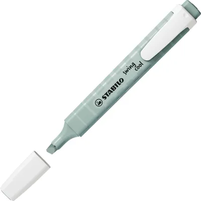 Immagine prodotto di STABILO swing cool NatureCOLORS evidenziatore 1 pz Punta smussata Verde