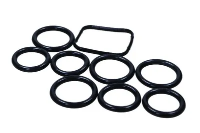 Produktbild von MAXGEAR 70-0136 Dichtungssatz Ansaugkrümmer für FORD Fiesta Mk6 Schrägheck (JA8, JR8) Fiesta Mk5 Schrägheck (JH1, JD1, JH3, JD3) Focus II Schrägheck