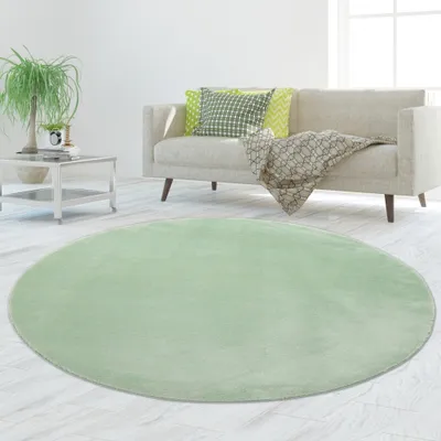 A round, light green rug is placed on a light-colored wooden floor in front of a sofa with green pillows and a patterned throw blanket. A modern coffee table with a plant and books is to the left.