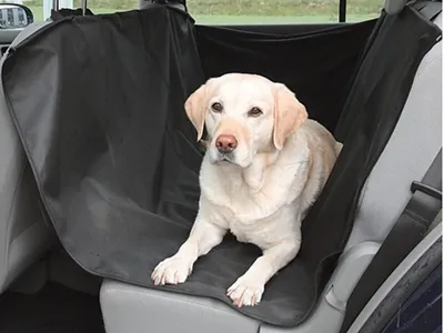 Immagine prodotto di Protezione del sedile posteriore 140 x 150 cm per il trasporto di un cane