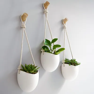 Produktbild von Wandvasen 3 Stück, Porzellan und Holz, matt weiß, für Wohnzimmer