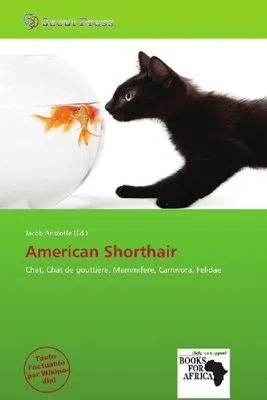 Produktbild von Amerikanische Kurzhaar-Katze