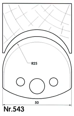 Obrázok produktu pre BRÜCK UNI-Abweiser 50 mm Profil Nr. 543 | 39543