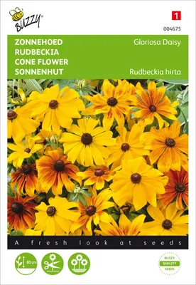 Produktbild von Sonnenhut Gloriosa Daisy | Sonnenhutsamen von Buzzy Seeds