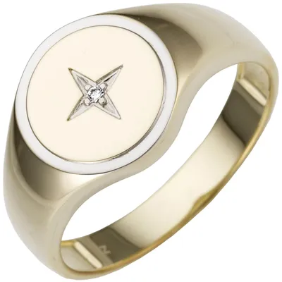 Produktbild von Herren Ring aus 585 Gold Gelbgold bicolor mit Diamant Brillant flach rund Innenumfang 66mm Ø21.0mm