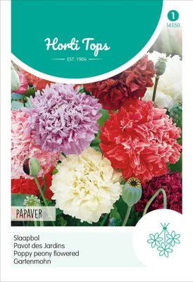 Produktbild von Gartenmohn Gefüllte Mischung | Mohnsamen von Hortitops