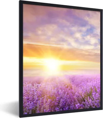 Produktbild von MuchoWow® Gerahmtes Poster Lavendel - Sonne - Himmel - Natur 60x80 cm - Poster mit Schwarzem Bilderrahmen Wandposter Rahmen Foto Bilder - Premium - Wanddeko Wohnzimmer