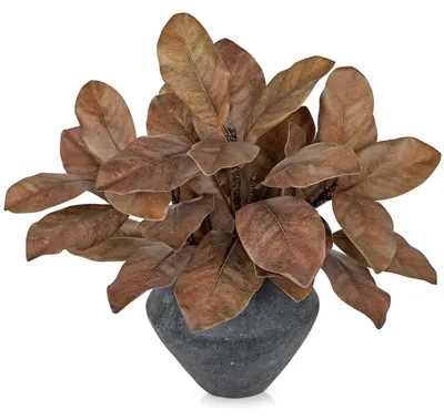 Zdjęcie produktu dla Zestaw 3 sztucznych liści magnolii do dekoracji jesiennej