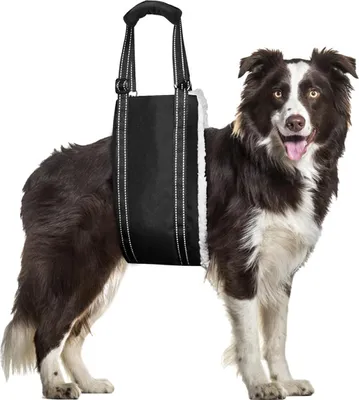 Produktbild von Brusttrage für Hundelifte für große Hunde, Unterstützung der Hinterbeine, Hundetrage mit gebogenem Plüschfutter, verstellbare Brusttrage zur Hundeunterstützung hilft Senioren, älteren Menschen und verletzten Haustieren