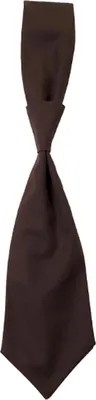 Immagine prodotto di CG Workwear 01360-01 | Cravatta Messina / Certificata secondo Oeko-Tex 100 - Colore: Cioccolato - Taglia: Unica