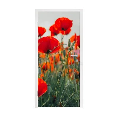 Obrázok produktu pre MuchoWow® Tapety na dvere - Samolepiaca fólia na dvere - Mak - Kvety - červená - fialová - lúka - 205x75x0.1cm - Plagát na dvere - Samolepiaca fólia na dvere