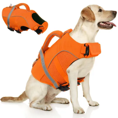 Image de Gilet de sauvetage pour chiens de taille moyenne, résistant à l'abrasion, avec une poignée de sauvetage, pour une sécurité optimale lors de la nage