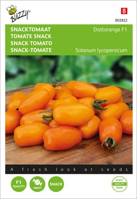 Produktbild von Snacktomate Dattorange F1 | Snacktomatensamen von Buzzy Seeds