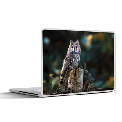 Produktbild von MuchoWow® Laptop Aufkleber Sticker Cover Eule - Herbst - Vogel - Äste 31x22.5 cm - Laptop-Deko