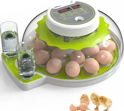 Productafbeelding van Famanu broedmachine voor 18 eieren - Incubator met temperatuur- en vochtigheidsregeling en een eierlamp