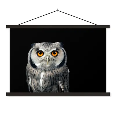 Produktbild von MuchoWow® Textilposter Eule - Vogel - Orange - Schwarz 150x100 cm mit schwarzem Rahmen - Schlafzimmer