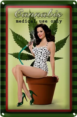 Produktbild von Blechschild Pinup 18x12cm Cannabis medical use only