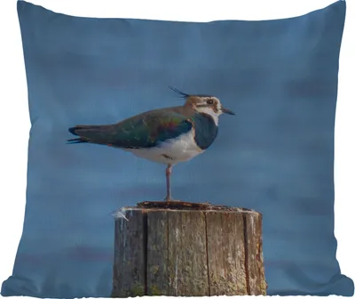Produktbild von MuchoWow® Outdoor Kissen - Vogel - Tiere - Pfahl - Blau - Kiebitz - 45x45 cm - Wetterfest - Lounge Kissen - Fotokissen - Dekoratives Kissen
