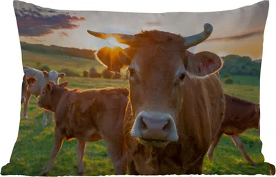 Produktbild von MuchoWow® Outdoor Kissen - Kühe - Sonne - Wiese - Landleben - 60x40 cm - Wetterfest - Lounge Kissen - Zierkissen - Kissen für Innenräume