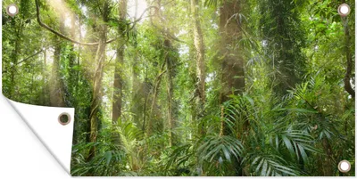 Produktbild von MuchoWow® 60x30 cm Outdoor-Poster Gartendeko Sichtschutz Garten Poster für den Garten  Licht im Wald