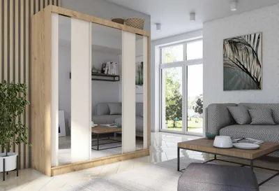 A modern living room with a large wardrobe, sofa, and coffee table.