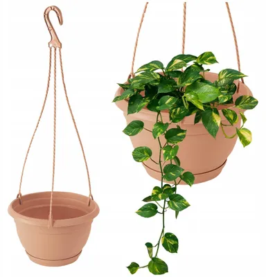 Produktbild von DTU24 Hängende Pflanzschale Terrakotta für Balkon