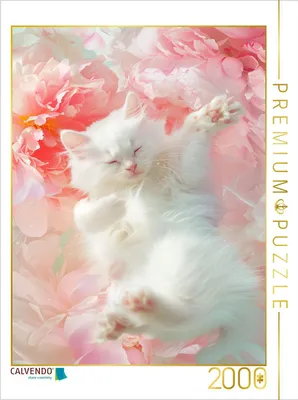 Produktbild von CALVENDO Puzzle Schnurrwölkchen | 2000 Teile Lege-Größe 90x67cm Foto-Puzzle für glückliche Stunden
